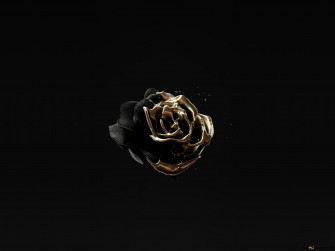 Image Of Rose Gold Color On Black 4k Wallpaper