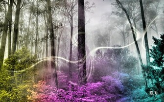 El Bosque Encantado Fondo De Pantalla