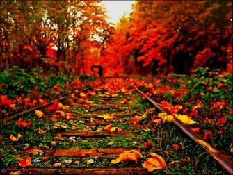 Autumn