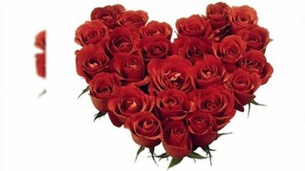 Red Rose Heart Romantic Wallpaper Screen