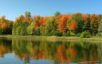 Wallpaper Colorful Trees In Lake Nature