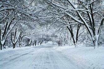 We Usually Get Snow A Few Times Year But Only Couple Of Inches