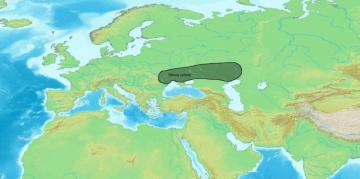 Illyrians Wikipedia