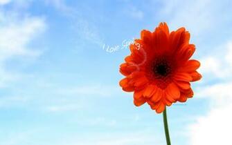 Love Spring Wallpaper Photos Kate Net Created
