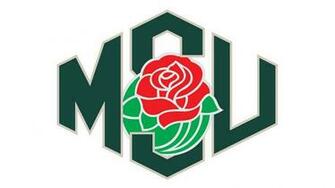 Michigan State Spartans College Football Wallpaper