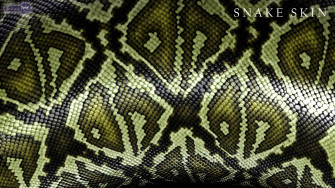 Anaconda Wallpaper