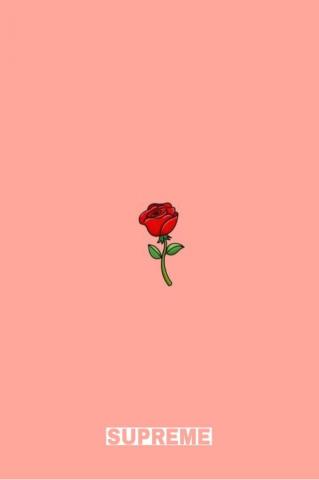 Supreme Supremewallpaper Rose Wallpaper Cartoon