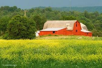 Red Barn Wallpaper