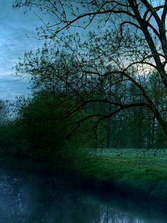 Nature Full HD Wallpaper For Mobile