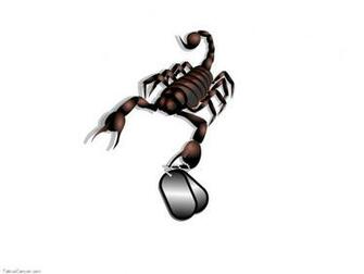 Pin Sharp Tribal Scorpion Tattoo Wallpaper Picture