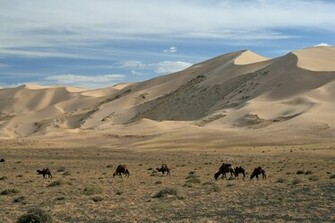 Mongolia Hongoryn Els By Melissa Sama