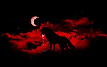 Red Moon Wolf Wallpaper On