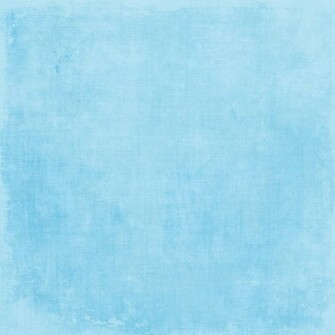 Pale Blue Background Photo Lweifenbach Hoot Solid3 Jpg