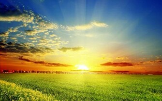 Nature Spring Season Fresh New HD Wallpaper