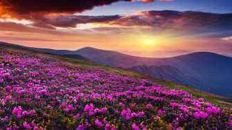 Windows Wallpaper Just Released By Microsoft