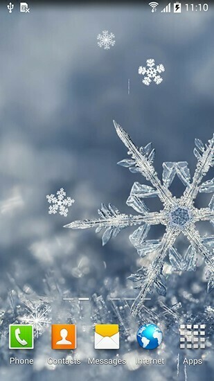 Blackbird Wallpaper Live For Android Winter By