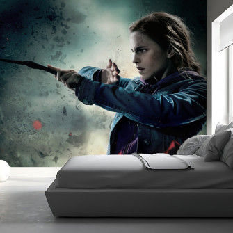 Hermione Granger Wallpaper Myindianthings