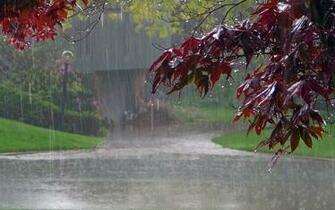 Rainy Wallpaper7