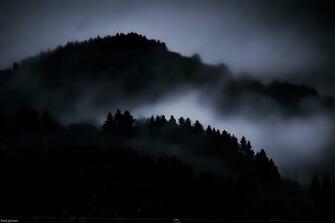 Dark Woods Wallpaper