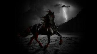 Wallpaper Stunning Black Horse HD Widescreen