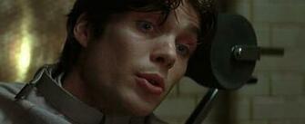 Cillian Murphy Image Batman Begins Screencaps Wallpaper