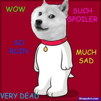 Dodge Doge Meme Wallpaper Animalgals