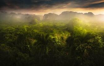 Wallpaper Mountains Palm Trees Field Valley Jungle Haze