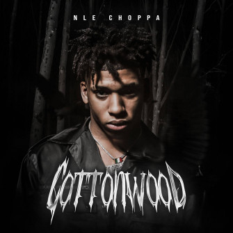 Nle Choppa Background Wallpaper