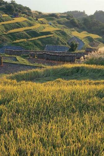 HD Cool Country Green Farmland Desktop Background iPhone Wallpaper