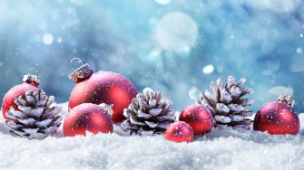 Photos Christmas Balls Conifer Cone