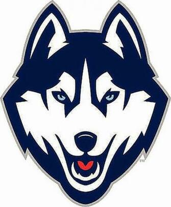 Uconn Huskies Logo Best Wallpaper