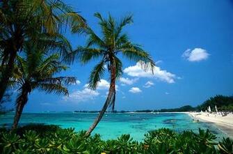 Bahamas Beach Res Wallpaper