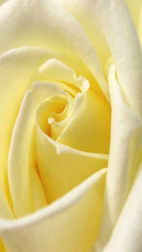 Wallpaper Samsung Galaxy Note Ultra HD X