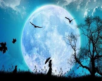 Walk In The Moon Light Wallpaper