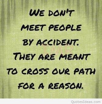 Funny Life Quotes And Wallpaper