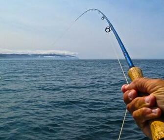 Fishing The Ocean Offshore Oregon Caddis Fly