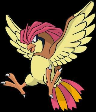 Best Image About Pidgeotto Art