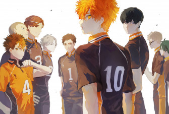 Karasuno Haikyuu Team Silhouettes Wallpaper