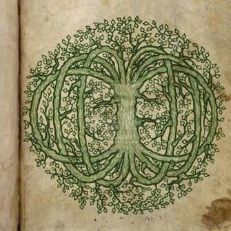 Celtic Tree Of Life Wallpaper Image Pictures Becuo