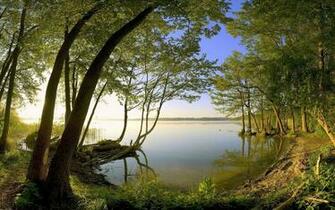 Beautiful Wallpaper For Desktop Nature