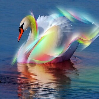 Today S New iPad Wallpaper HD