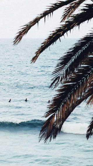 Surfing iPhone Wallpaper