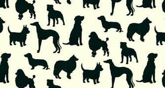 Speaking Of Dogs And Wallpaper No We Weren T