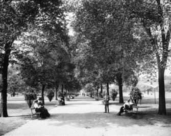 Chicago Historic Wallpaper Of Lincoln Park Vintage 1900s