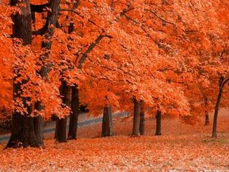 Autumn Wallpaper High Definition