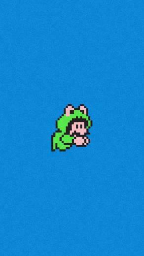 Mario In A Frog Suit Mobile Phone Wallpaper