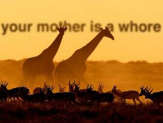 Offensive Wallpaper