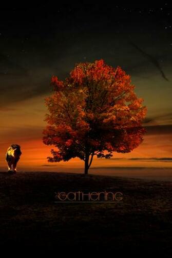 Lions The Tree Of Life Desktop Wallpaper