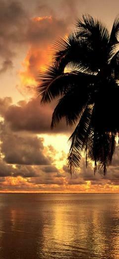 Hawaii iPhone Wallpaper Top Background