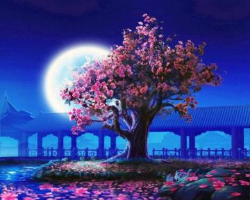 Kagaya Wallpaper Archives Earthnewspapers